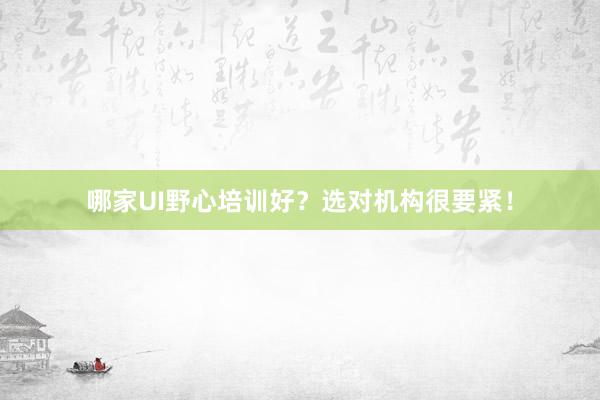 哪家UI野心培训好？选对机构很要紧！