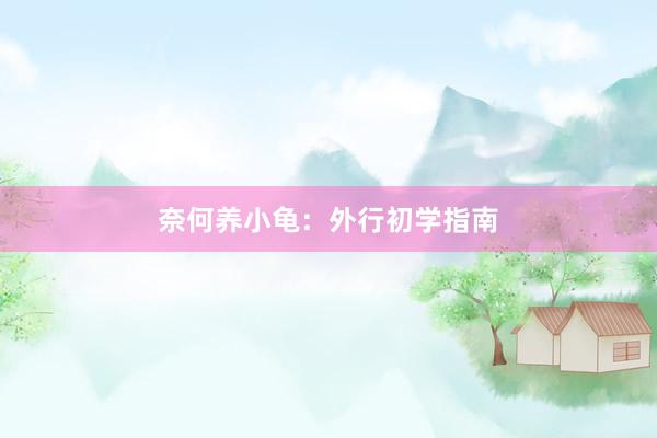奈何养小龟：外行初学指南