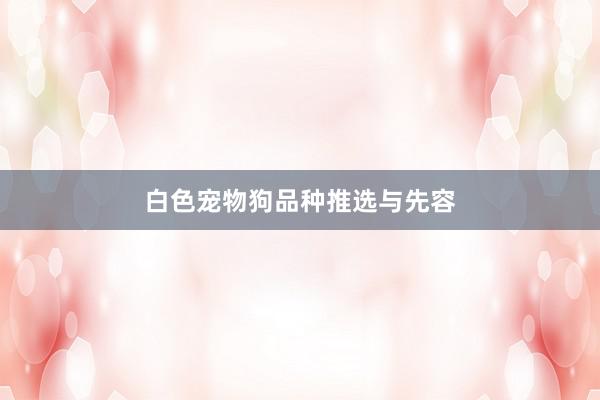 白色宠物狗品种推选与先容